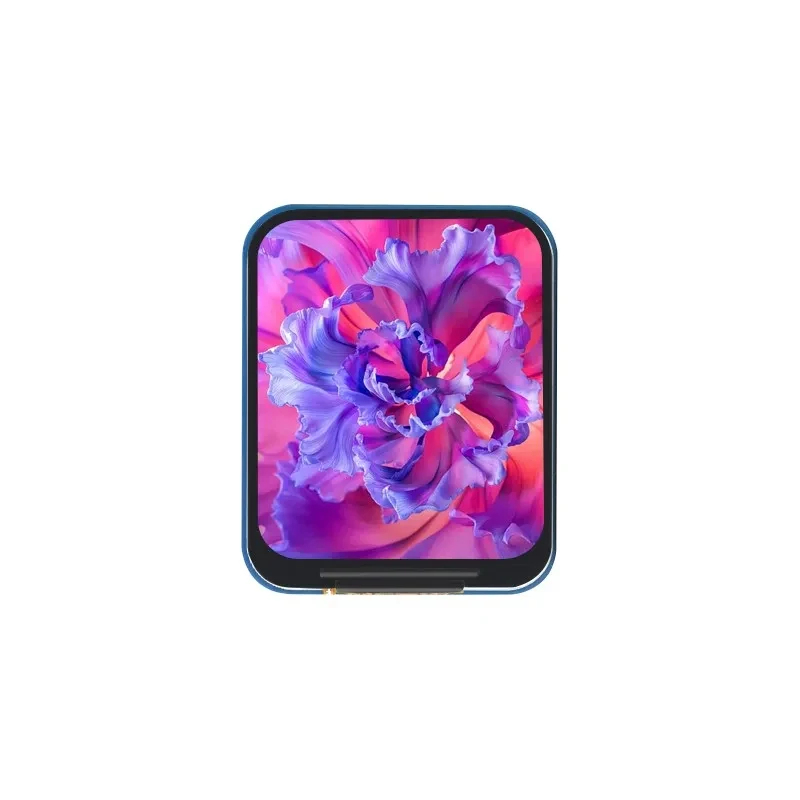 1.69인치 IPS LCD 모듈 ST7789V2 드라이 - Raspberry Pi Zero 리뷰 및 가격